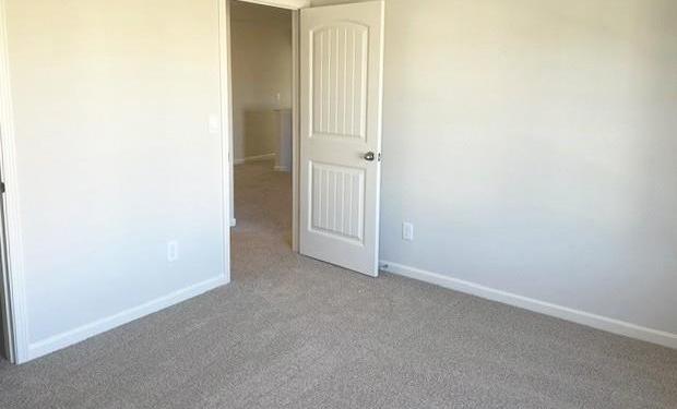 Photo #11