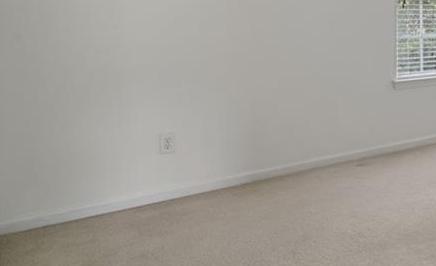 Photo #21