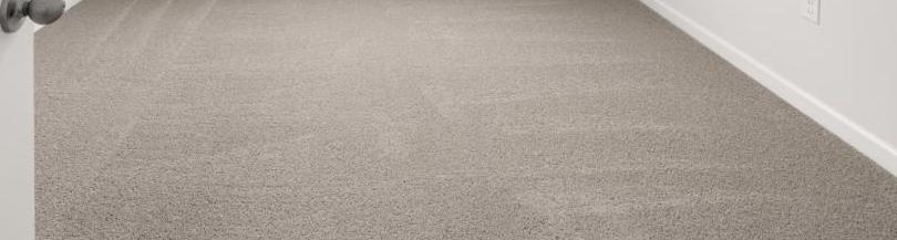 Photo #19
