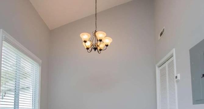 Photo #14