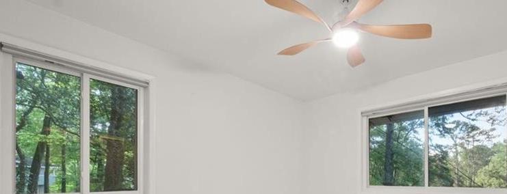 Photo #11
