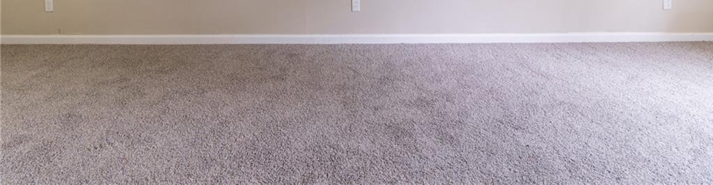 Photo #15