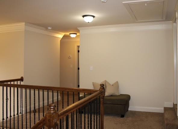 Photo #45