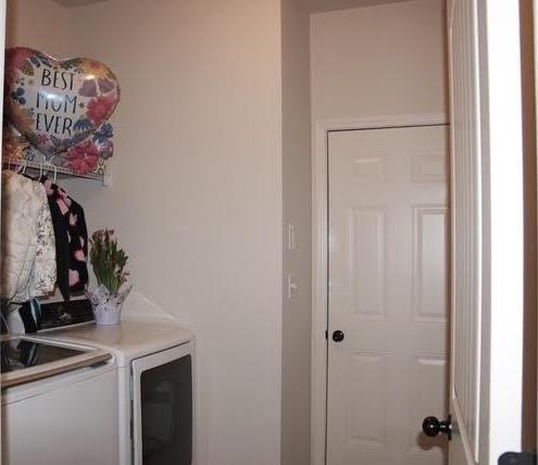 Photo #12