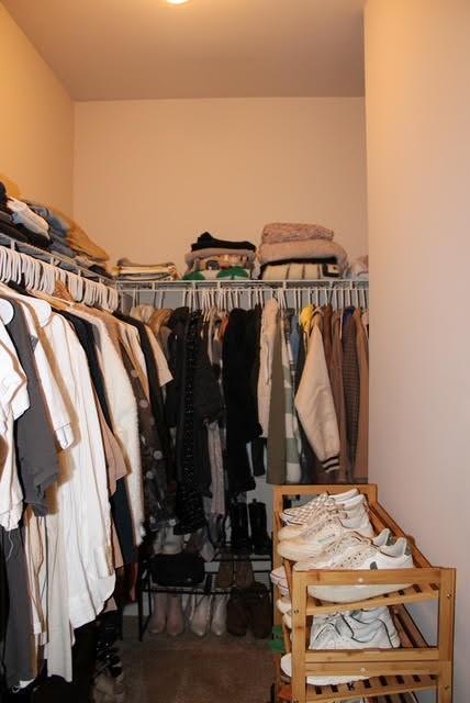 Photo #10