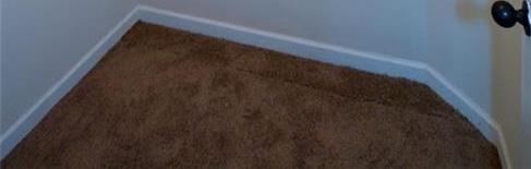 Photo #26