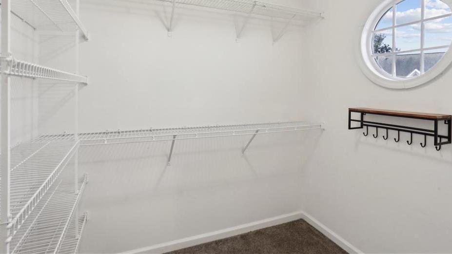 Photo #14