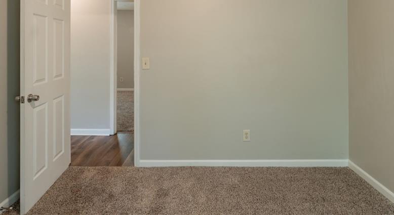 Photo #15