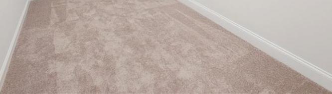 Photo #23