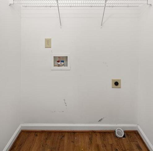 Photo #12