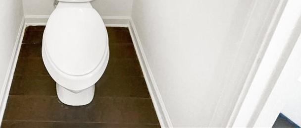 Photo #12
