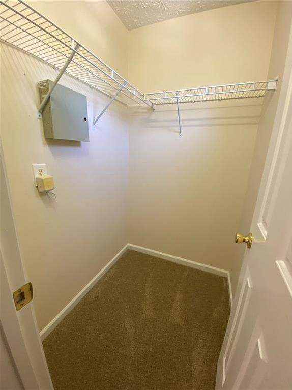 Photo #15