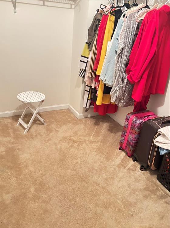 Photo #28