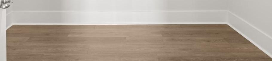 Photo #11