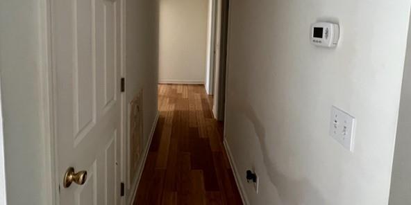 Photo #24