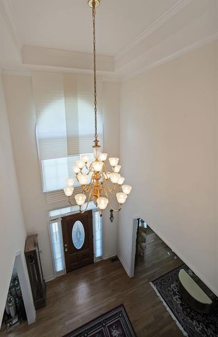 Photo #9