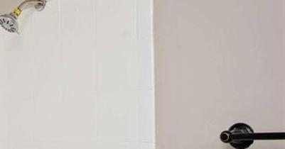 Photo #12