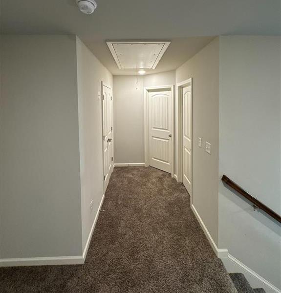 Photo #31