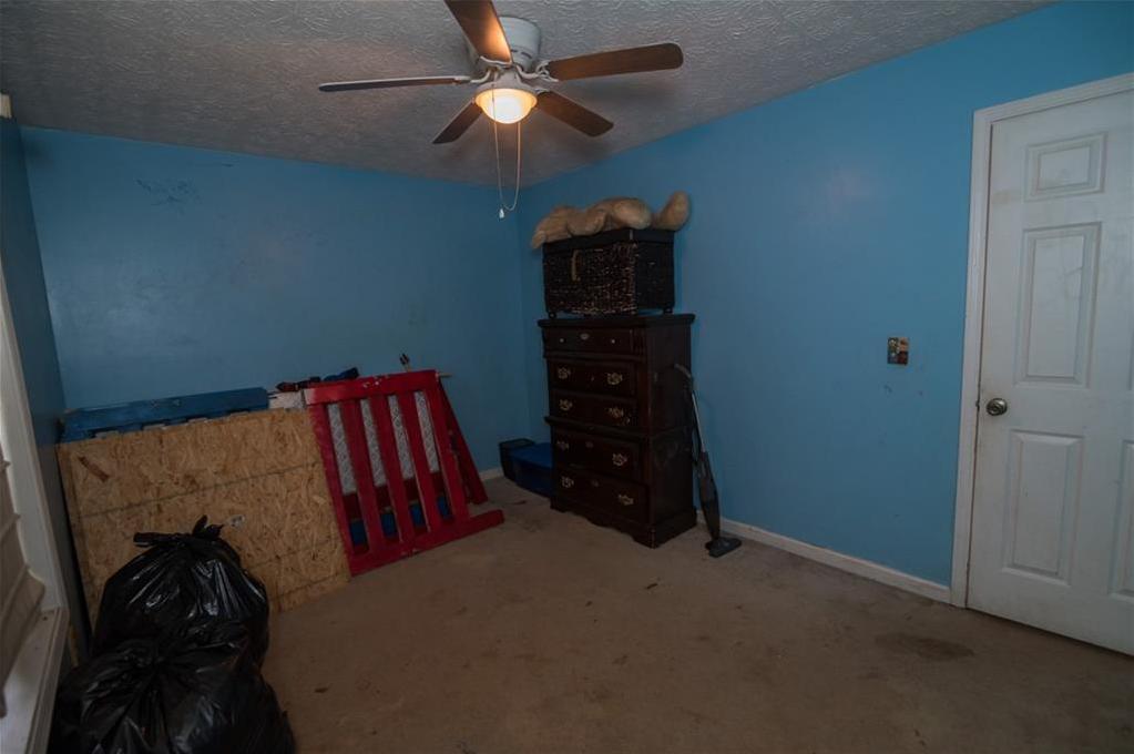 Photo #14