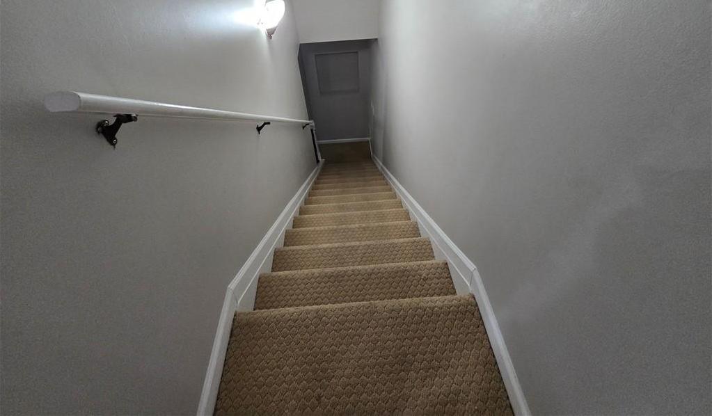 Photo #37