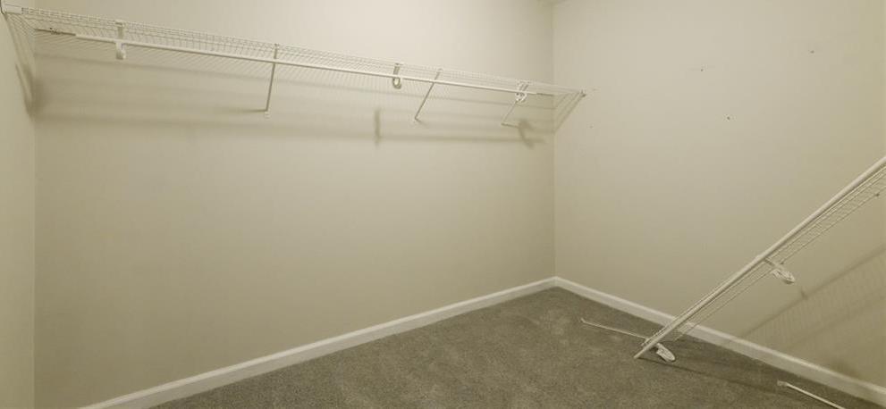 Photo #14