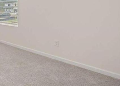 Photo #41