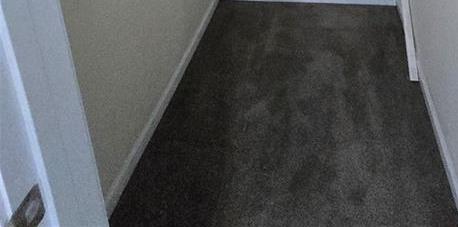 Photo #19