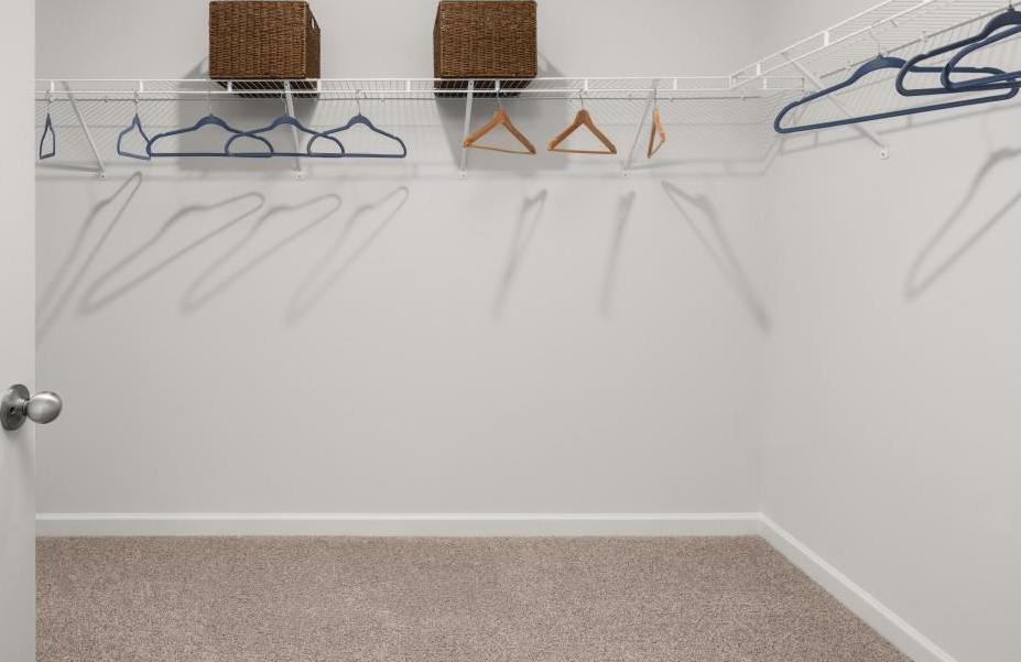 Photo #13