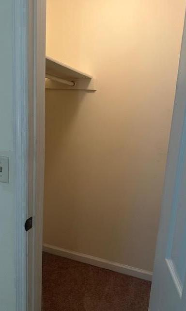 Photo #11