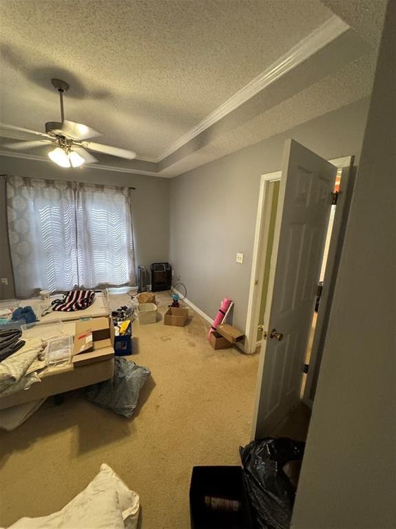 Photo #33