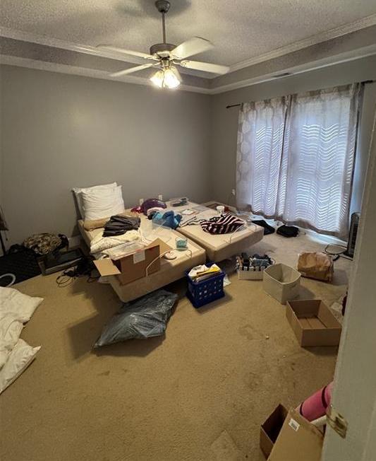 Photo #43