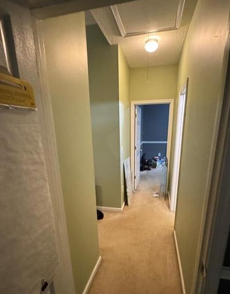 Photo #32