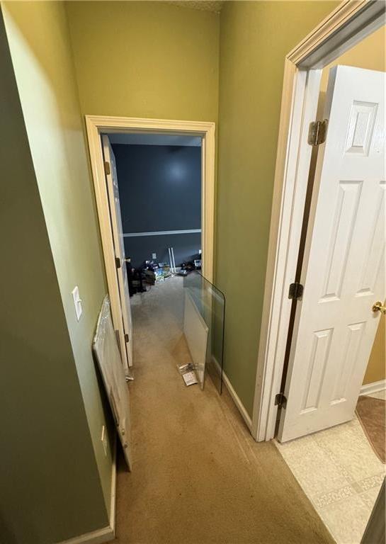 Photo #31