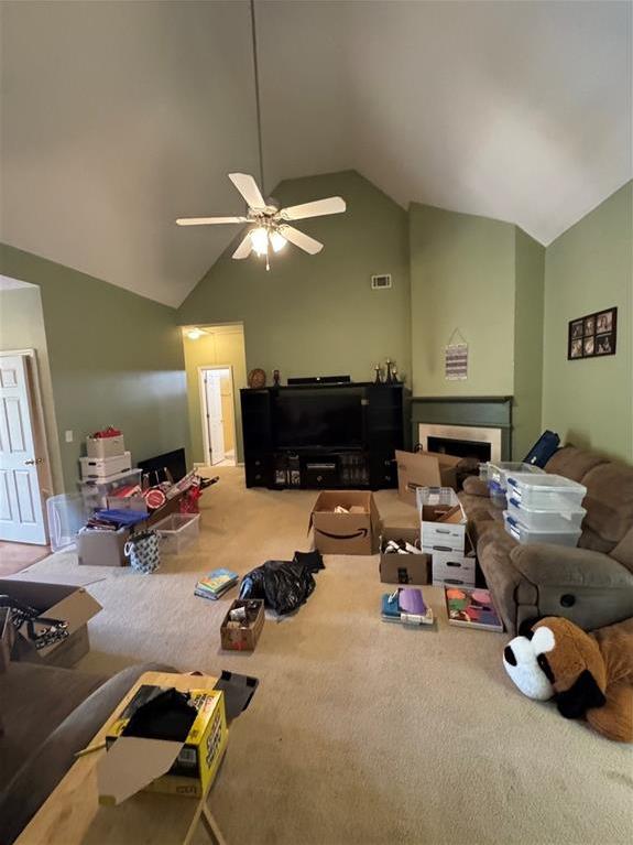 Photo #38