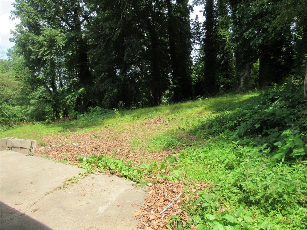 Photo #26
