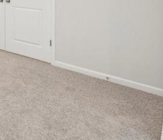 Photo #37