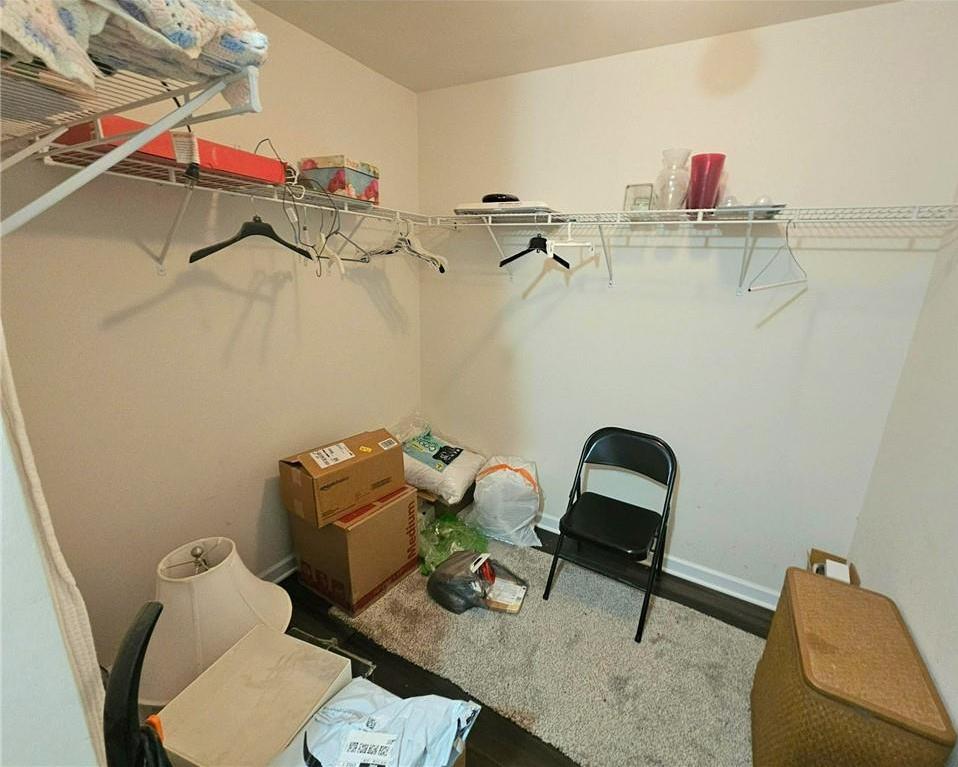 Photo #15