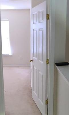 Photo #22