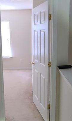 Photo #22