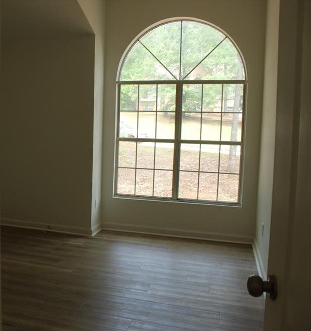 Photo #11