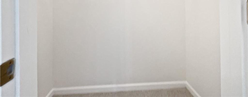 Photo #19