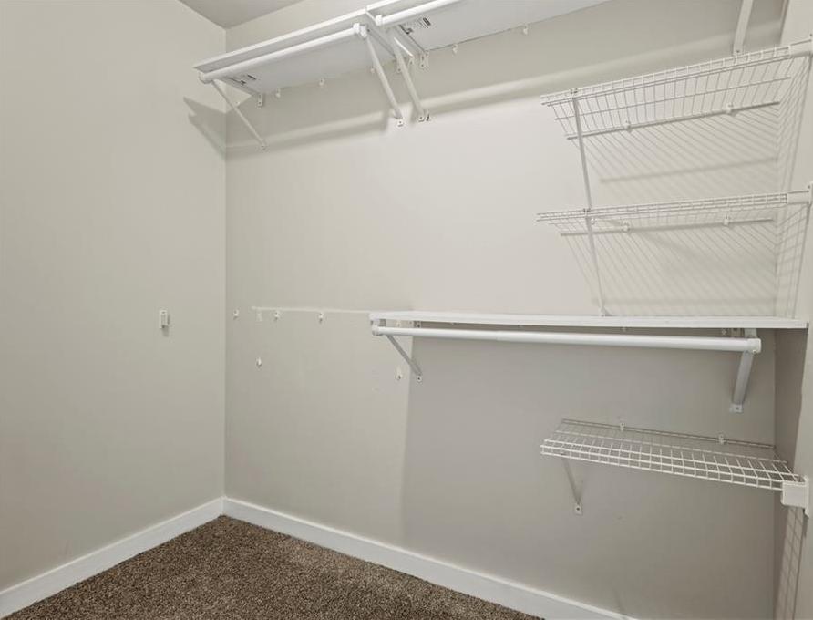 Photo #13