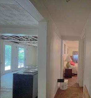 Photo #12