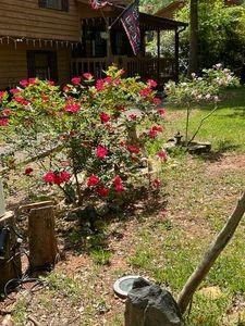 Photo #37