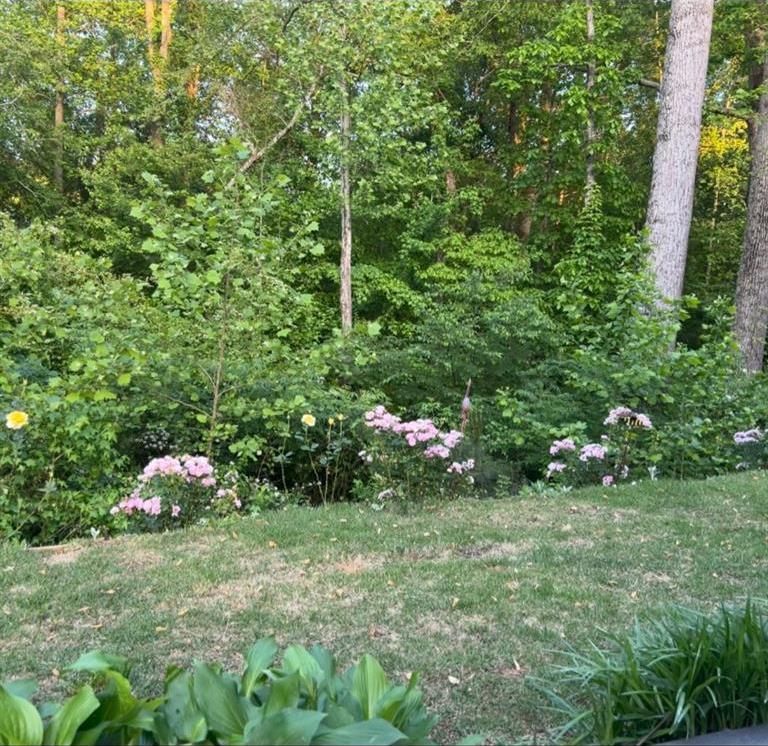 Photo #54