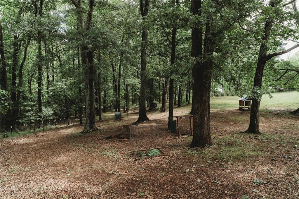 Photo #31