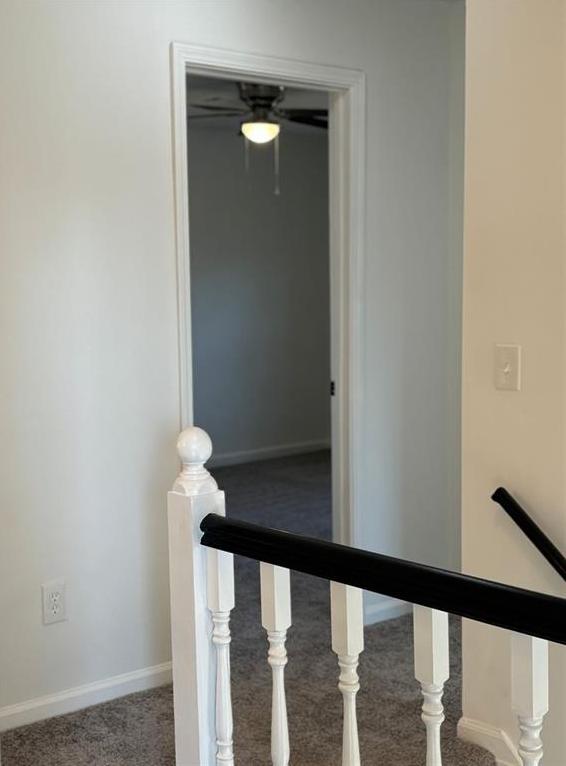 Photo #24