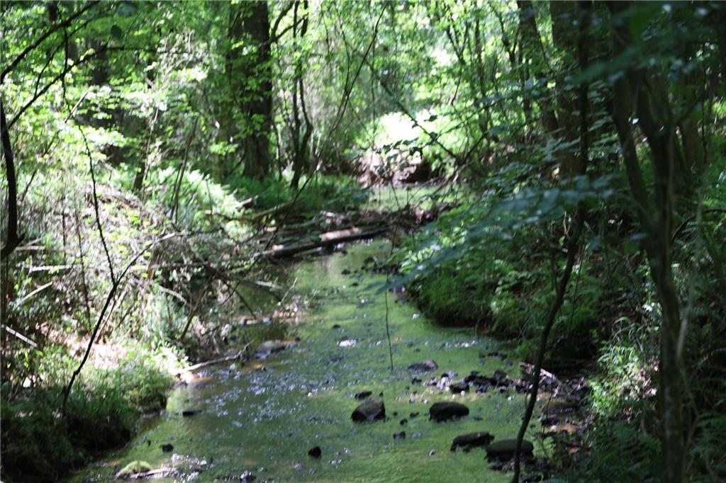 Photo #59