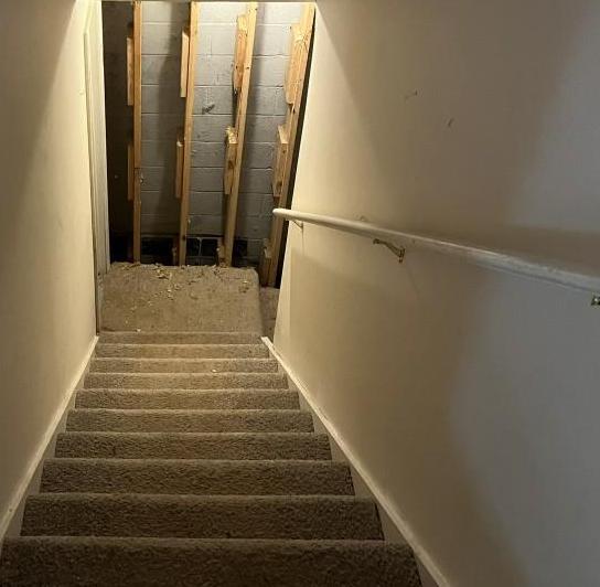 Photo #22
