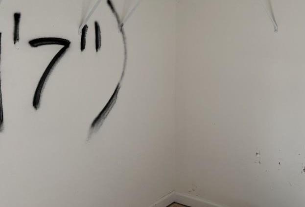 Photo #22